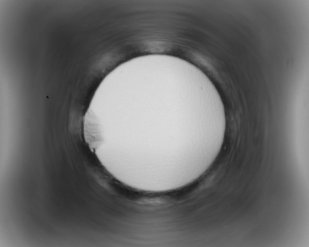 X0000083570307200703091643
