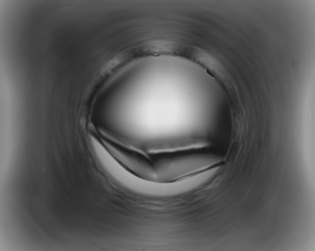 X0000083570309200703091643