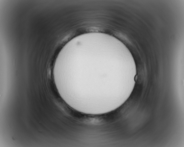 X0000083570310200703091643