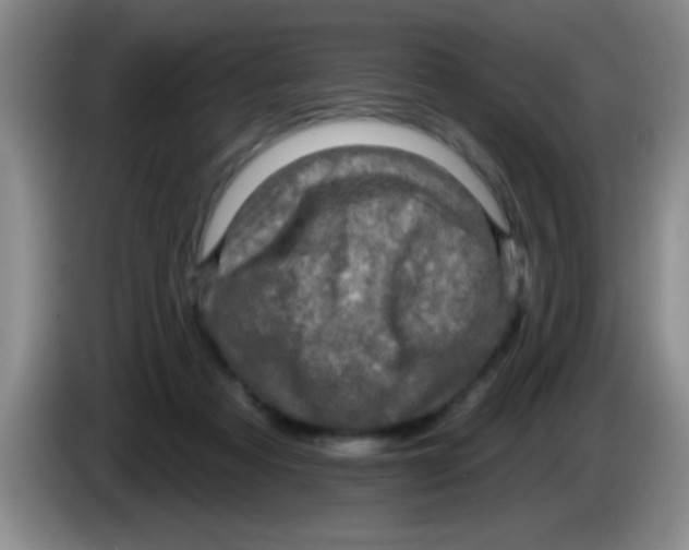 X0000083570313200703091643