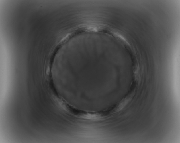 X0000083570314200703091643