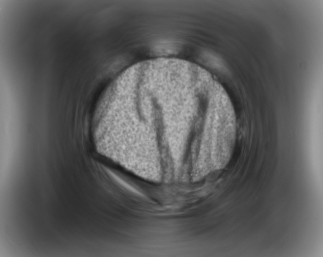 X0000083570315200703091643