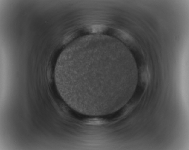 X0000083570316200703091643