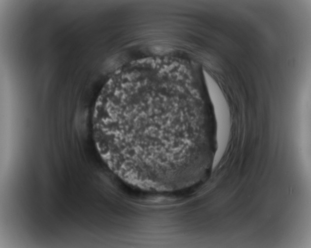 X0000083570319200703091643