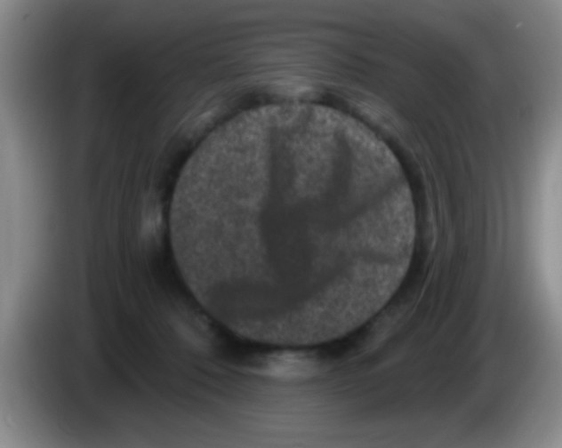 X0000083570320200703091643