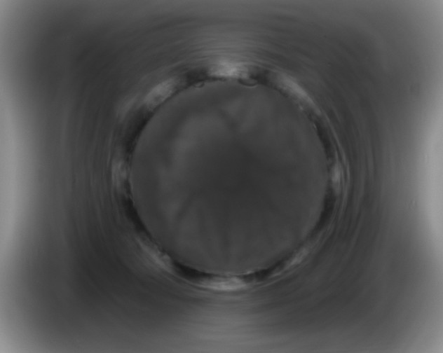 X0000083570322200703091643