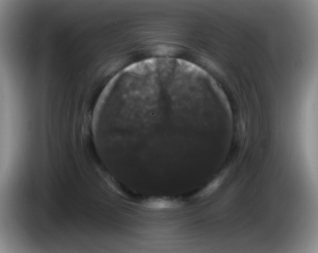 X0000083570325200703091643