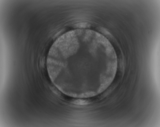 X0000083570326200703091643