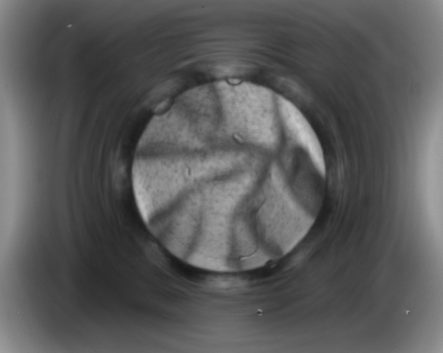 X0000083570327200703091643