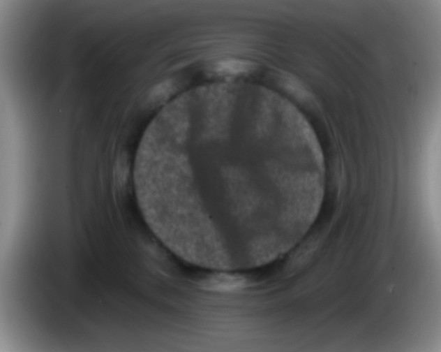 X0000083570328200703091643