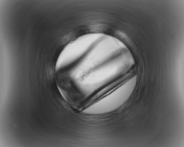 X0000083570329200703091643