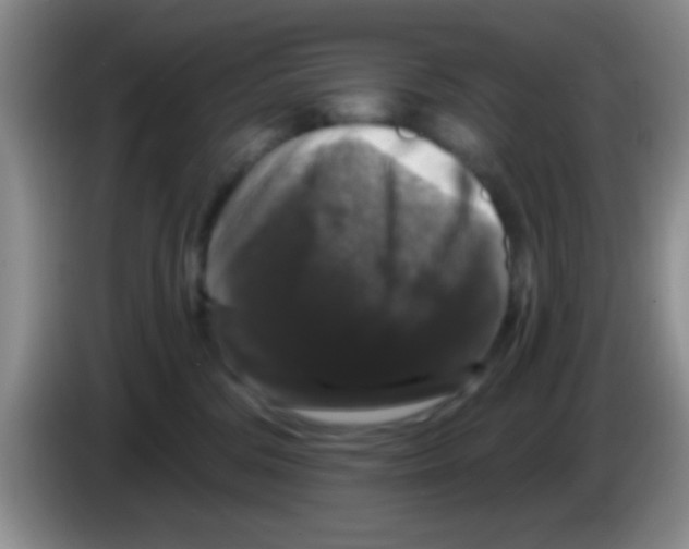 X0000083570330200703091643