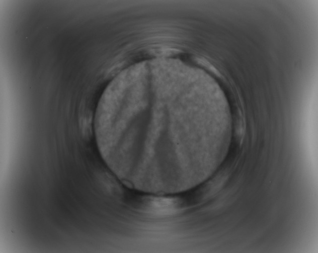 X0000083570332200703091643
