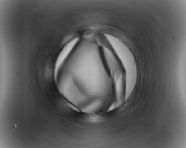 X0000083570333200703091643