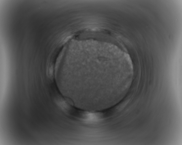 X0000083570336200703091643