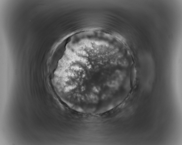 X0000083570337200703091642