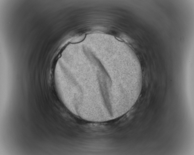 X0000083570338200703091642