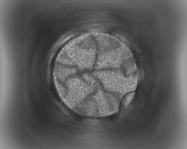 X0000083570339200703091642