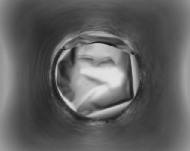 X0000083570340200703091642