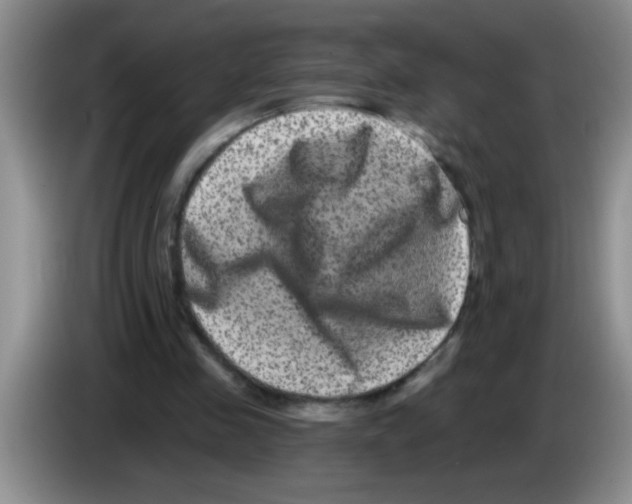 X0000083570341200703091642