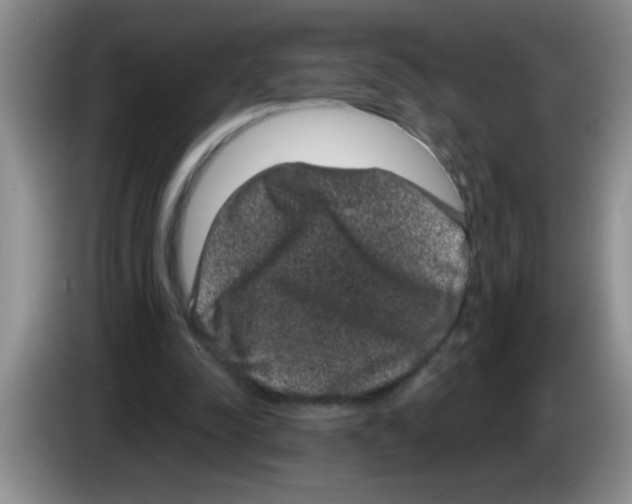 X0000083570342200703091642