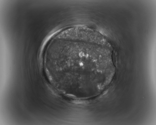 X0000083570343200703091642