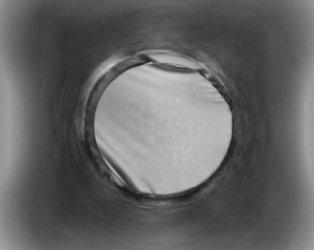 X0000083570344200703091642