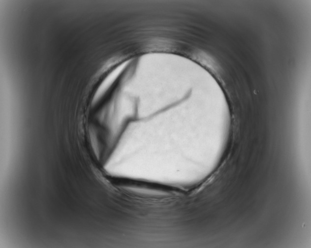 X0000083570345200703091642
