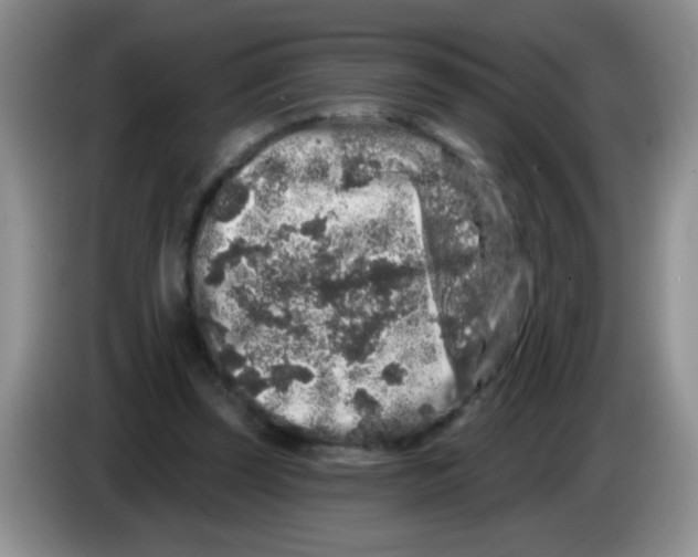 X0000083570347200703091642