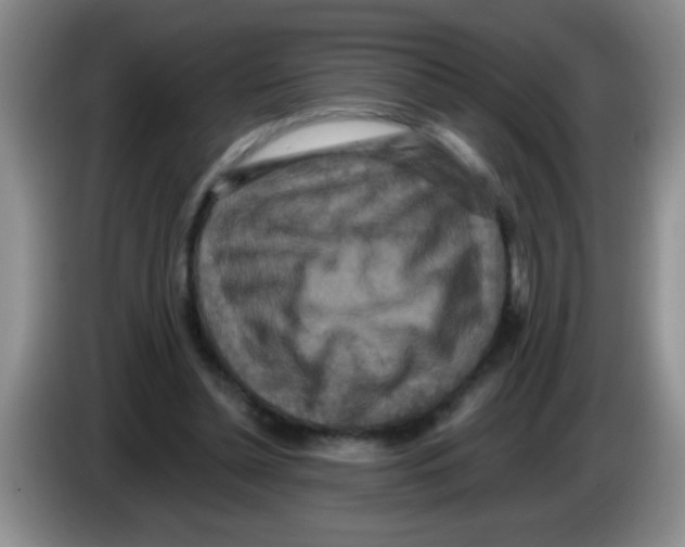 X0000083570348200703091642
