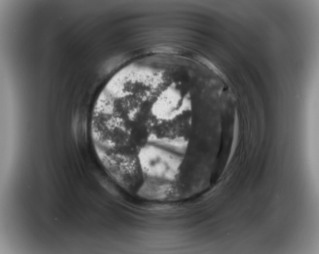 X0000083570349200703091642