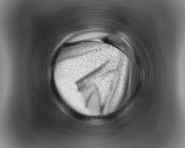 X0000083570350200703091642