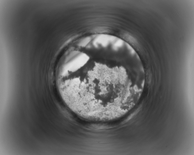 X0000083570351200703091642