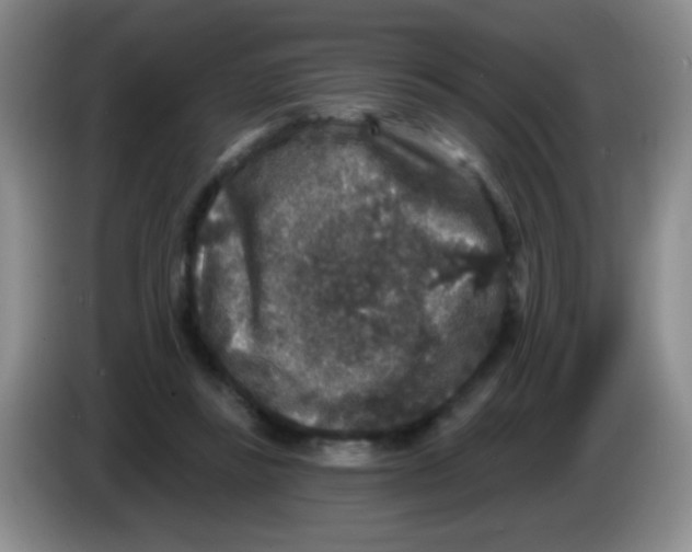 X0000083570355200703091642