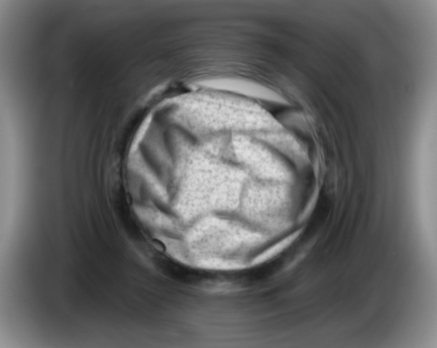 X0000083570356200703091642