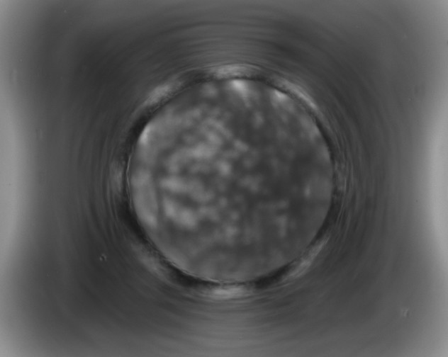 X0000083570357200703091642