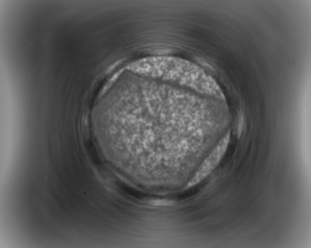 X0000083570360200703091642