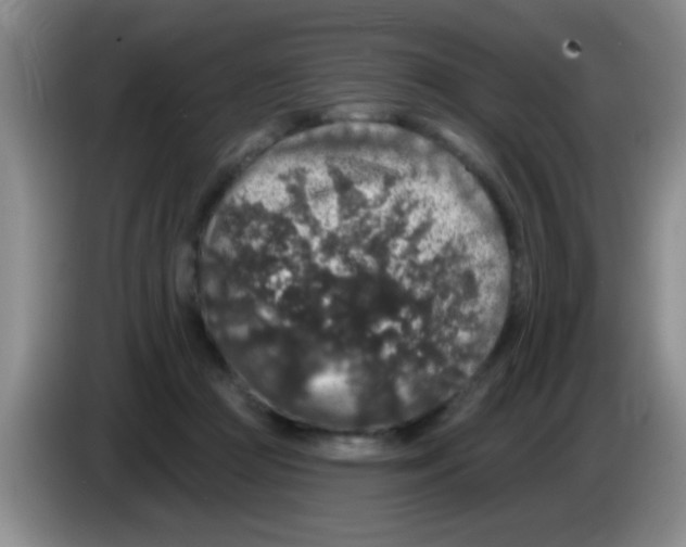 X0000083570361200703091642