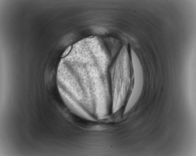X0000083570364200703091642