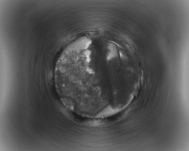 X0000083570365200703091642