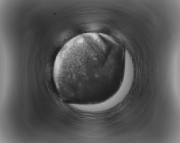 X0000083570366200703091642
