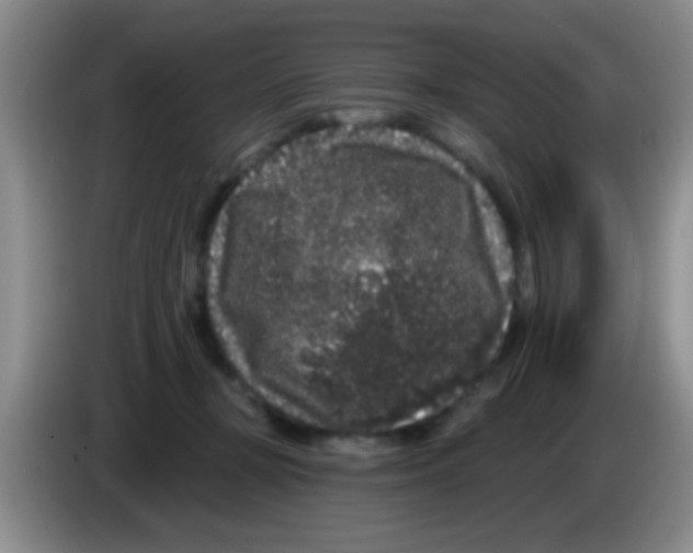 X0000083570367200703091642