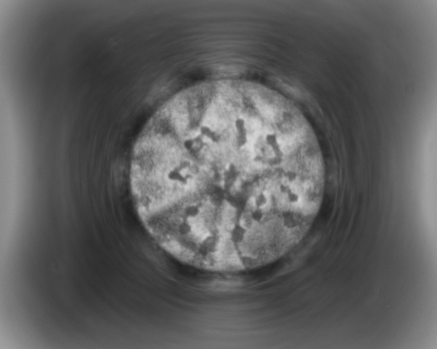 X0000083570369200703091642