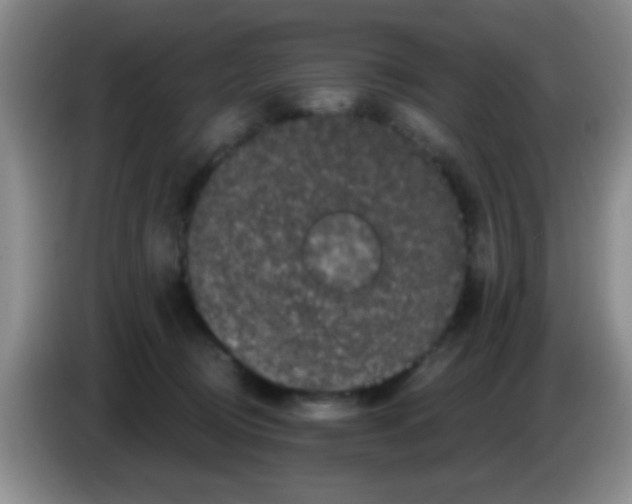 X0000083570370200703091642