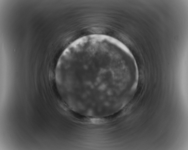 X0000083570371200703091642