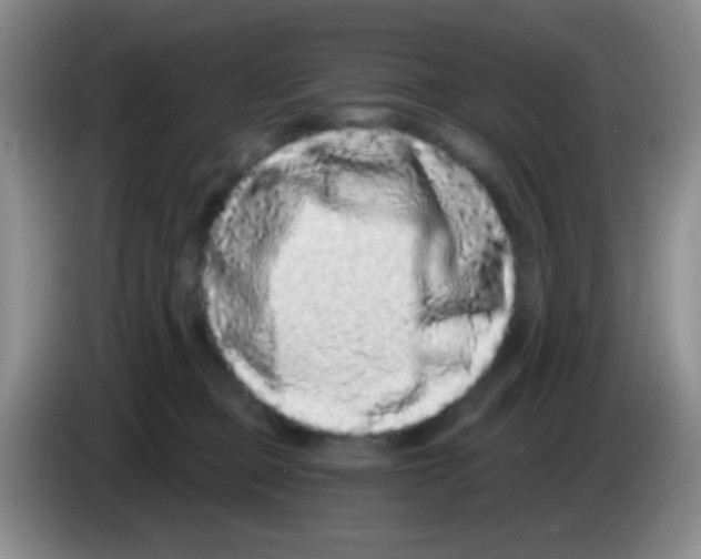 X0000083570373200703091642