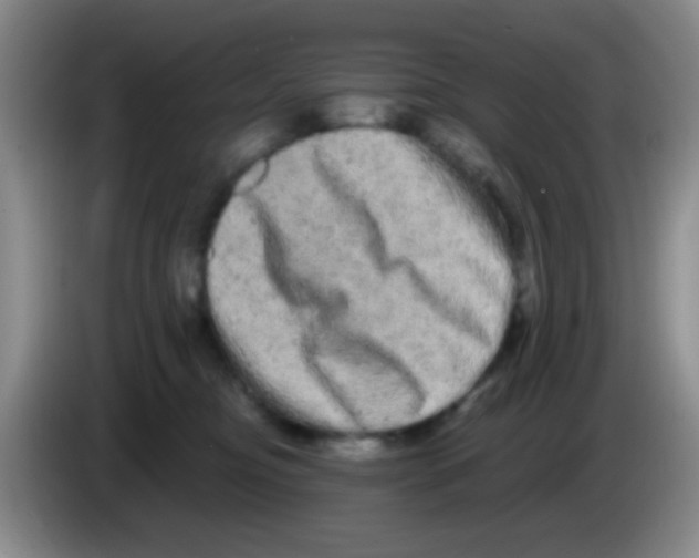 X0000083570374200703091642