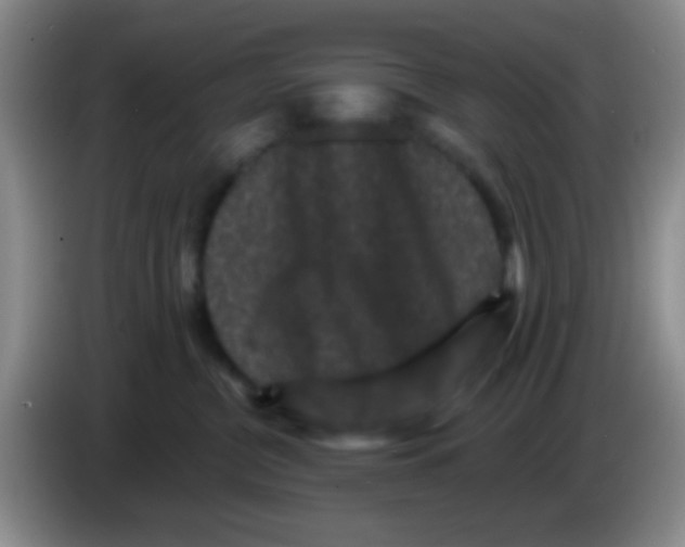 X0000083570380200703091643