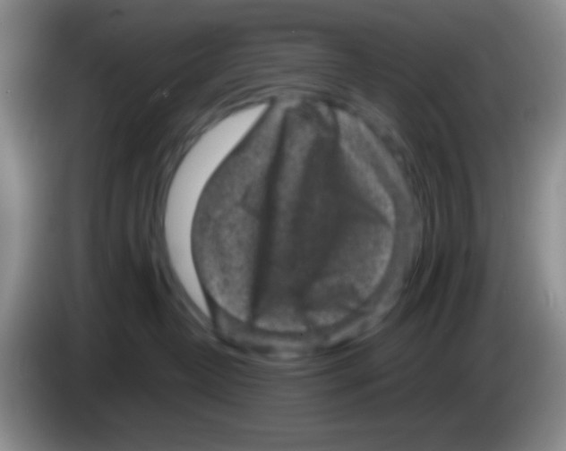 X0000083570382200703091643