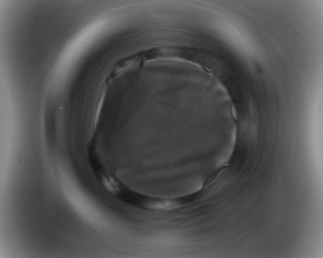 X0000083570383200703091643